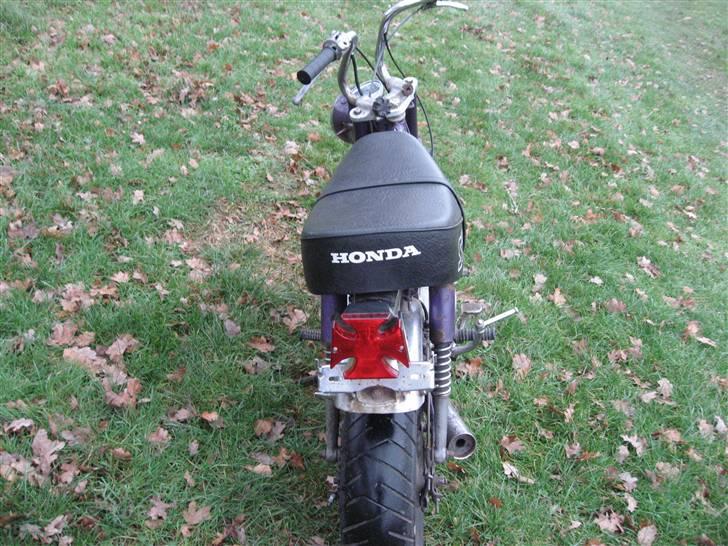 Honda dax (solgt/byttet) billede 11