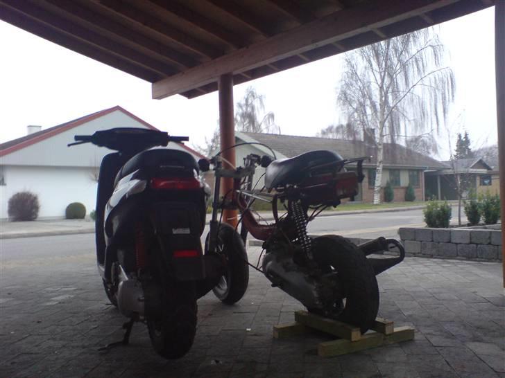 Piaggio Typhoon solgt billede 10