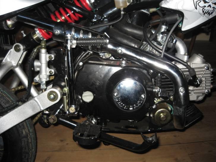 Sinski Shineray Topstar 50 billede 5