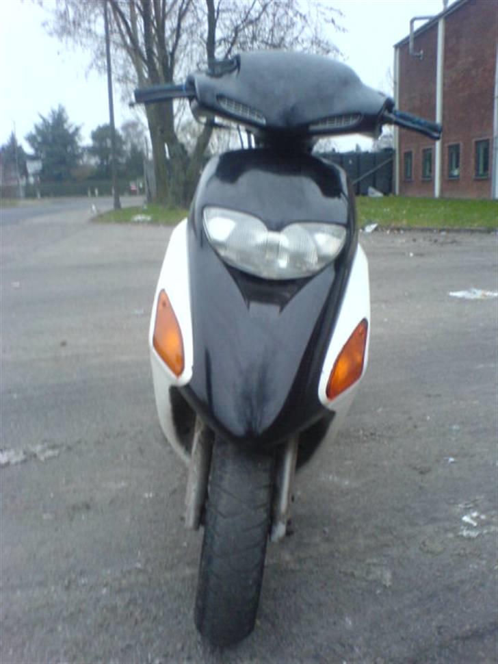 Honda SFX (Suzanne) - Den sexede Suzanne forfra :D billede 5