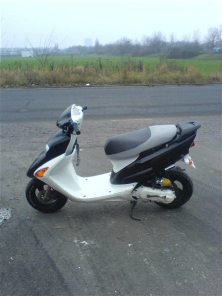 Honda SFX (Suzanne) - Susanne på kløvermarken :D billede 6