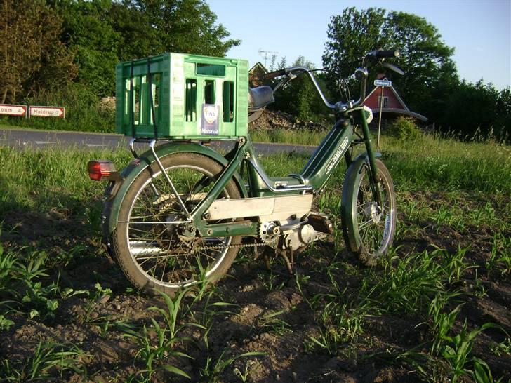 Puch Maxi P - Orginal - 4 juni 08, ude og nyde det gode vejr en sommeraften, ved skivevejen/fristrup! billede 10