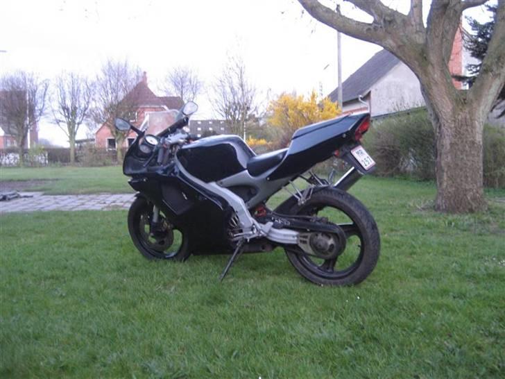Aprilia RS 50 billede 3