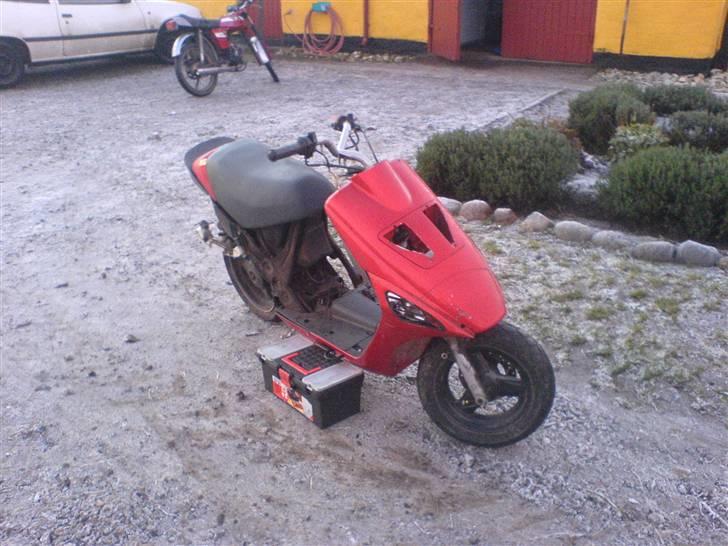 Atala Hacker billede 2