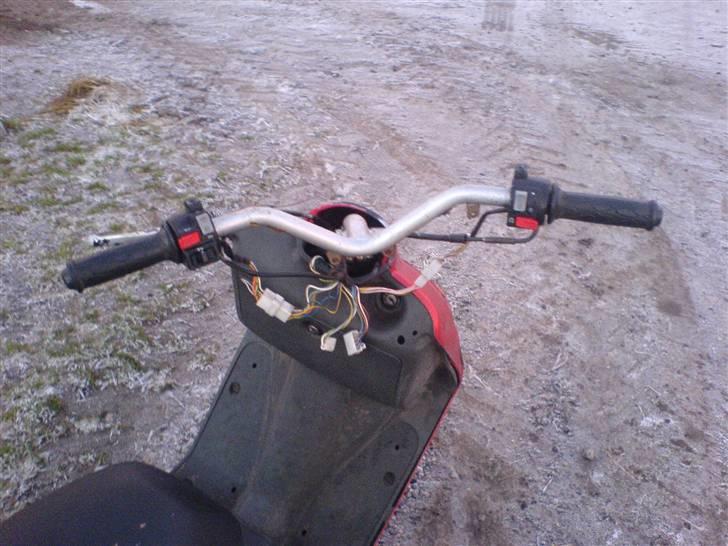 Atala Hacker billede 3