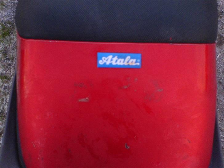 Atala Hacker billede 4