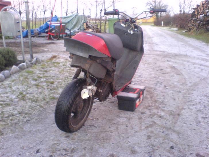 Atala Hacker billede 5