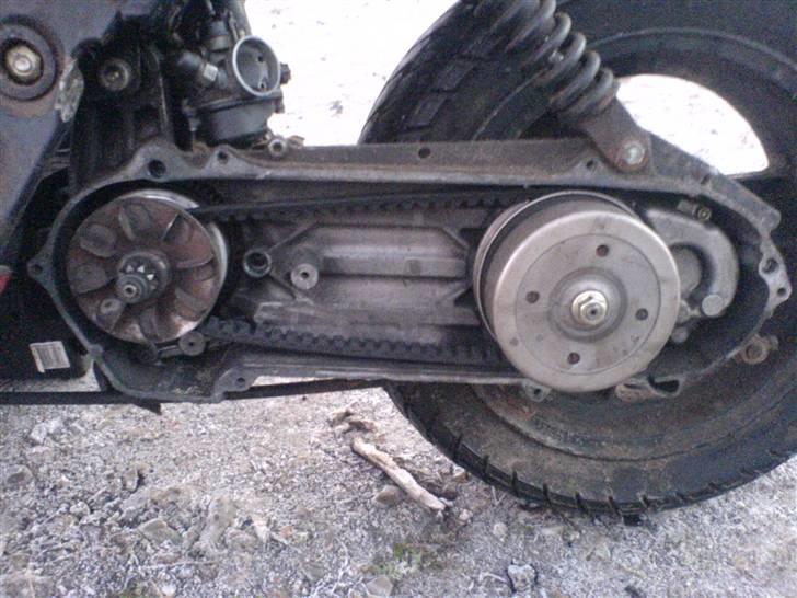 Atala Hacker billede 6