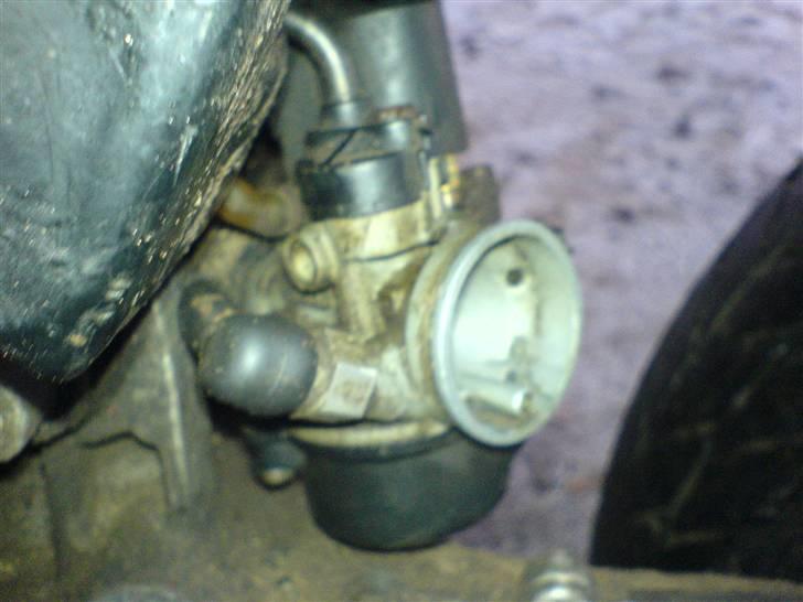 Atala Hacker billede 7