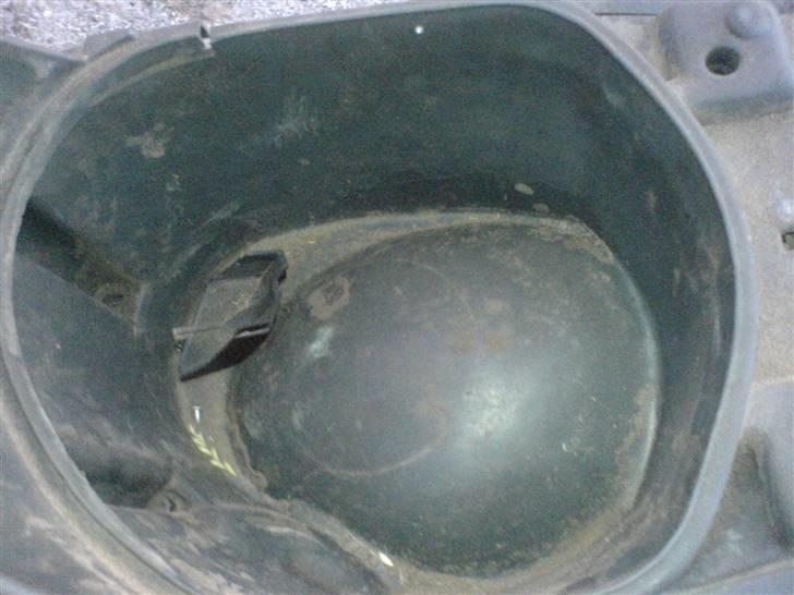 Atala Hacker billede 10