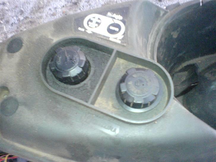 Atala Hacker billede 11