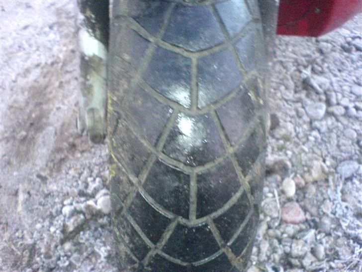 Atala Hacker billede 13