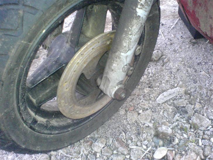 Atala Hacker billede 14