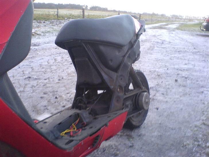 Atala Hacker billede 15