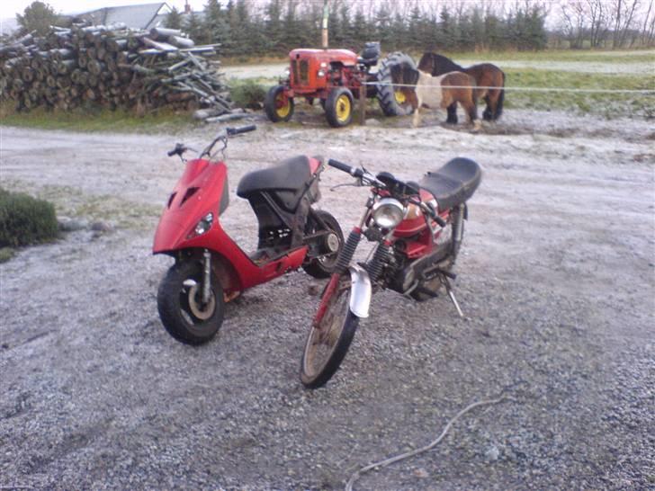 Atala Hacker billede 17