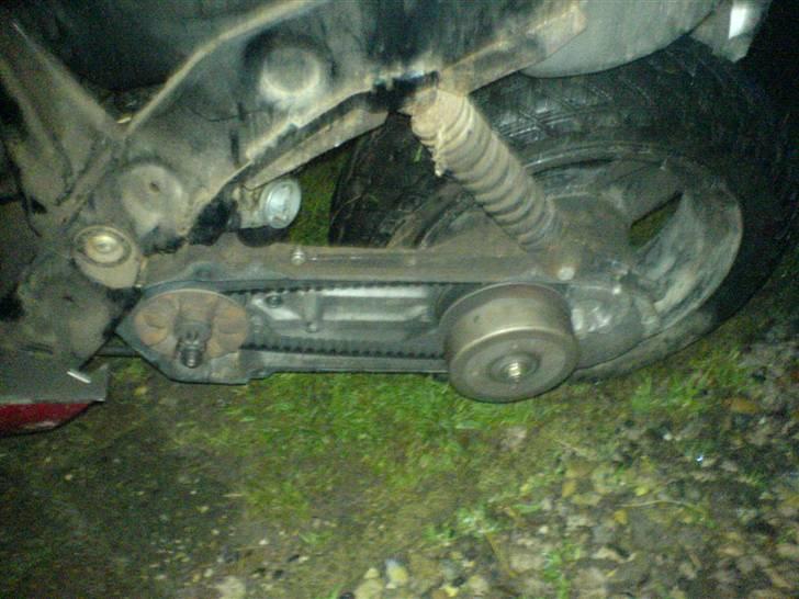 Atala Hacker billede 20