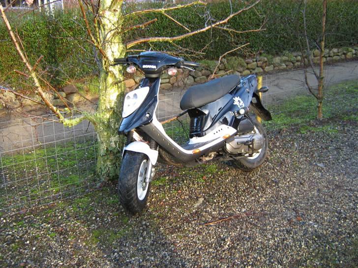 PGO *Scania Edition* Byttet! billede 16