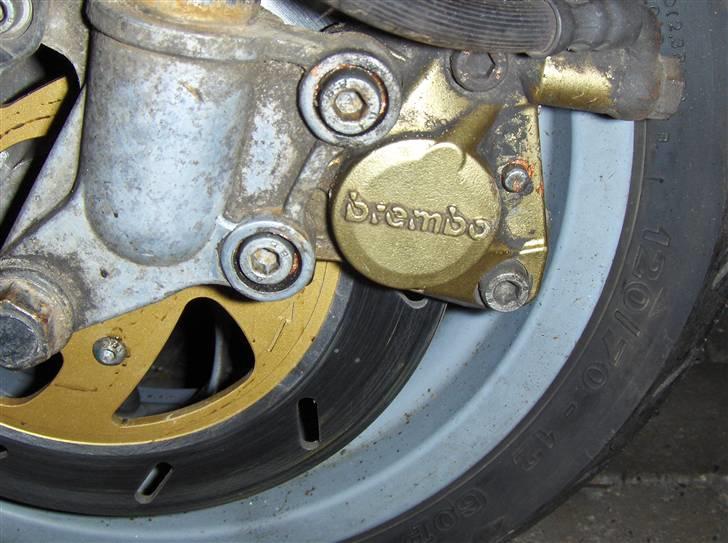 Gilera runner ac sp50 dd - brembo er std. men desværre er Gilera begyndt at lave deres scootere med bambus bremser. men det her er en sand Italiener billede 3