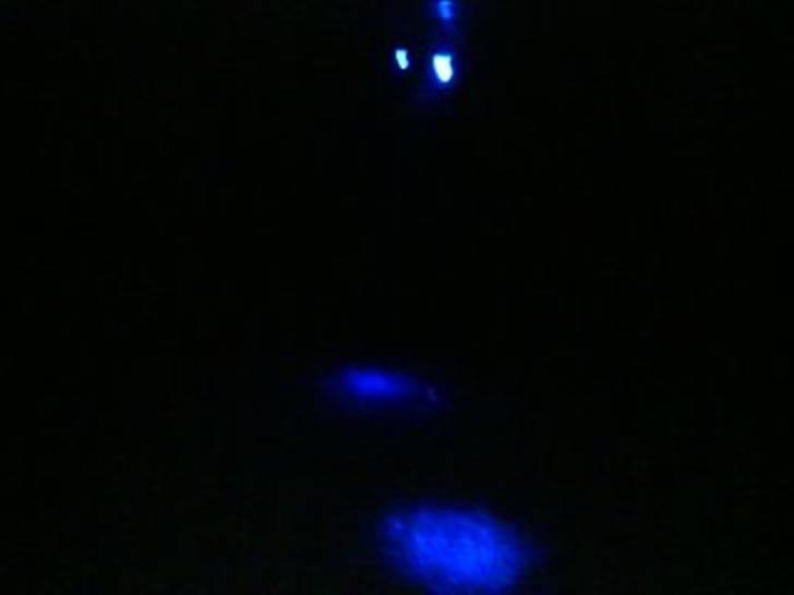 Giantco Sprint. SOLGT - undskyld mit lorte tlf cam. dioderne ser bedre ud i virkeligheden billede 11