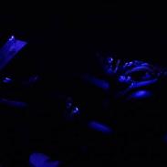 Piaggio Nrg til salg