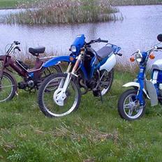 Gizmo Hero Effy *Team Bundgas*