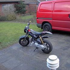 Suzuki Street Magic [Solgt]