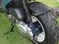 PGO #HOT 50#Team Ghost rider