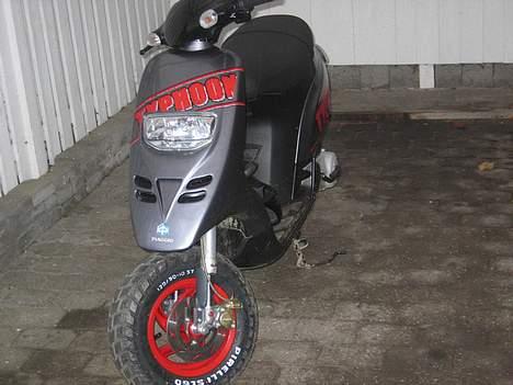 Piaggio Typhoon billede 1