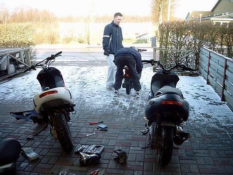 Benelli 491 SOLGT - når enden bare  er GO :D billede 7