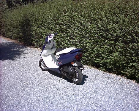 Honda Sfx - repsol - Solgt billede 6