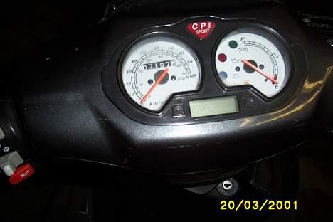 CPI Hussar Til salg billede 6