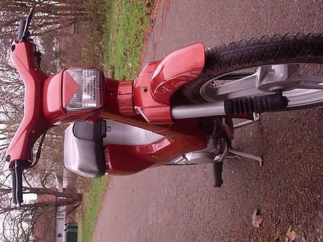 Honda wallaroo - det er den fine WALLA billede 1