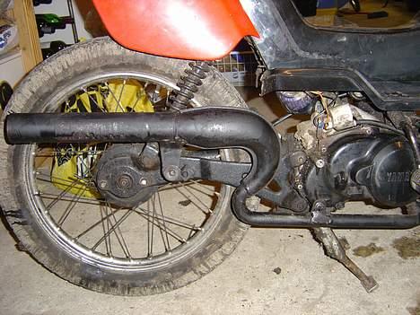 Yamaha Sting SOLGT  billede 2