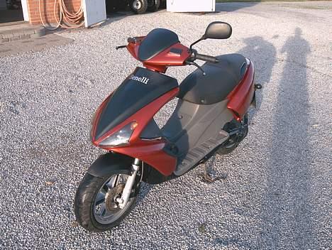 Benelli 491 ST billede 2