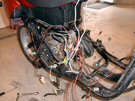 Benelli 491 ST billede 8