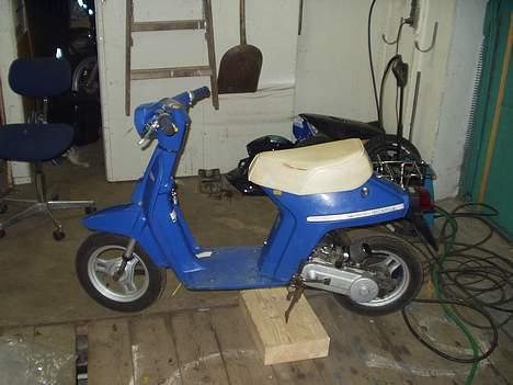 Honda Melody - BYTTES - billede 2