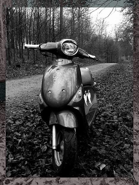 PGO Rodoshow. En t billede 8