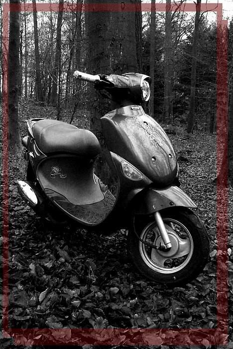 PGO Rodoshow. En t billede 10