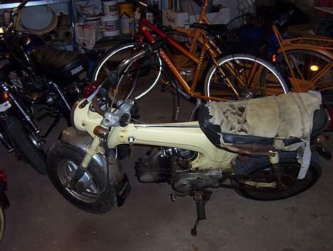 Honda Dax Budweiser - ja, her er så som daxen så ud da jeg købte den billede 5