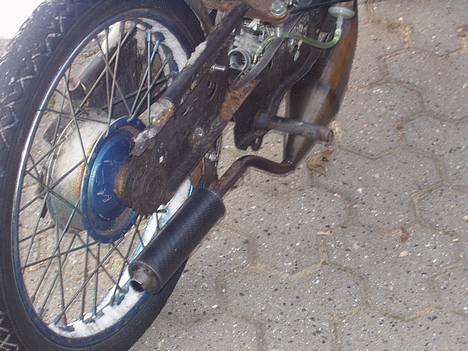 Vespa ciao evolution billede 7