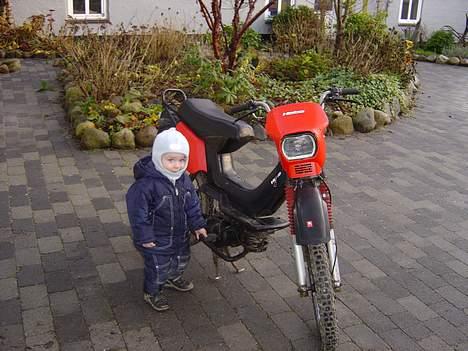 Yamaha Sting SOLGT  billede 5