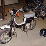 Suzuki FZ 50