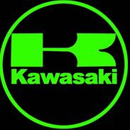 Kawasaki kx 80 lav solgt