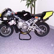 MiniBike Blata 13WR