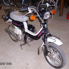 Suzuki FZ 50