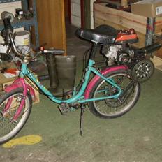 Veteraner hjemme byg