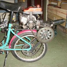 Veteraner hjemme byg