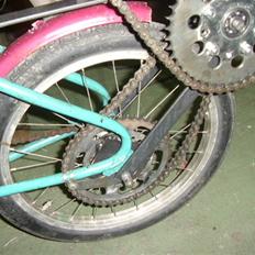 Veteraner hjemme byg