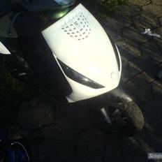 Piaggio new zip byttet