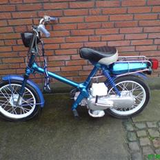 Honda Express (SOLGT)